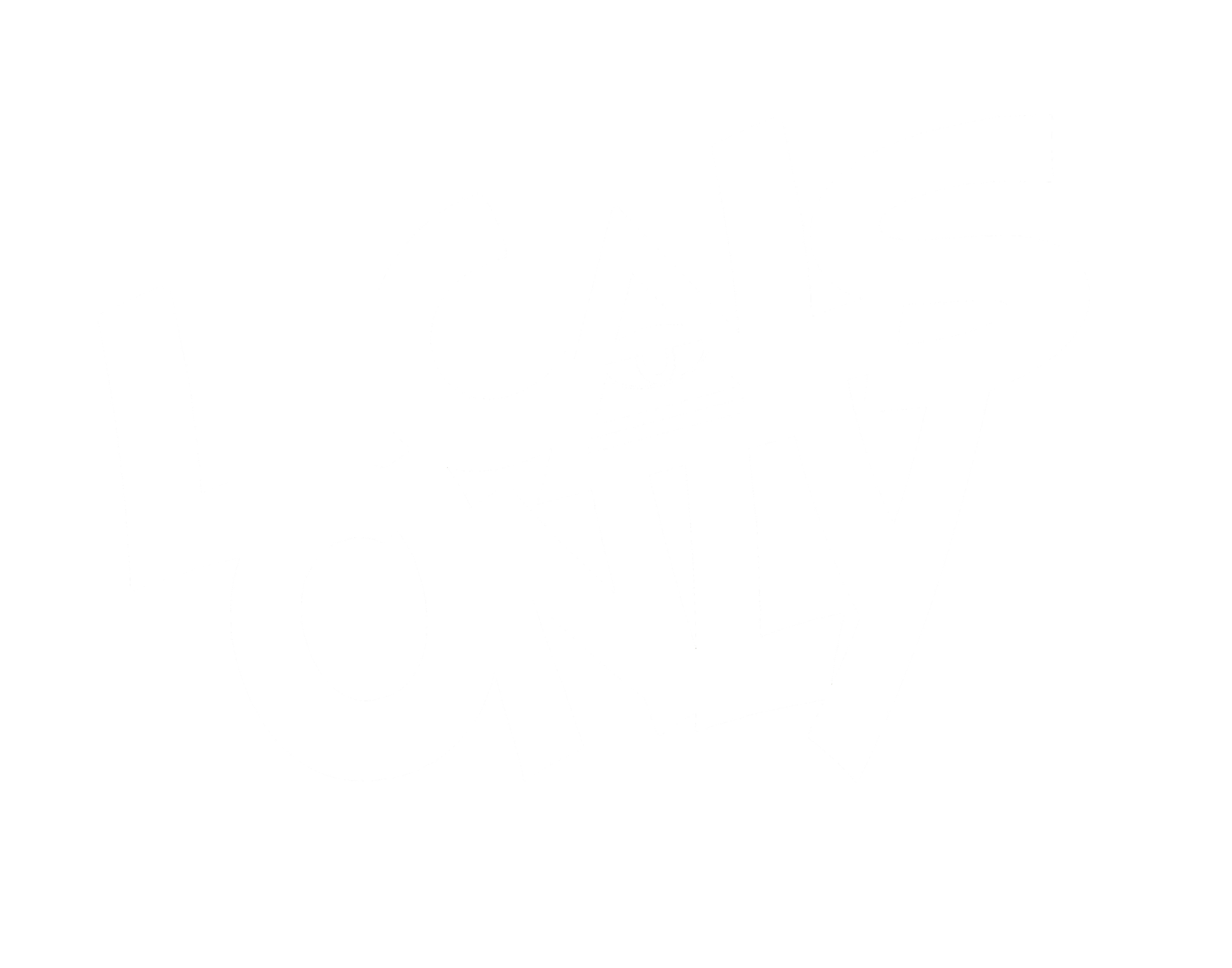 local-only-blanc
